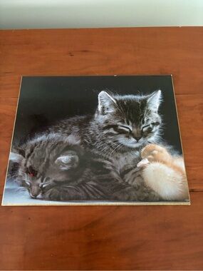 Vintage Kitten Duck Wall Plaque Cottagecore Animal Art 1983 Studio One